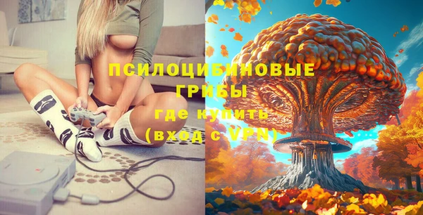 ECSTASY Волоколамск
