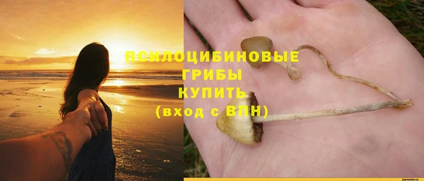 ECSTASY Волоколамск